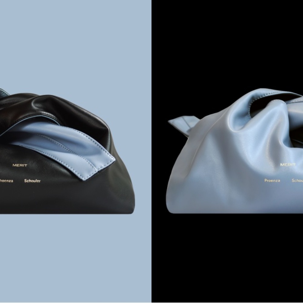 Merit x Proenza Schouler Black and Blue Bag - Picture 2 of 7